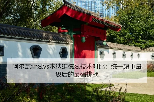 阿尔瓦雷兹vs本纳维德兹技术对比：统一超中量级后的最强挑战
